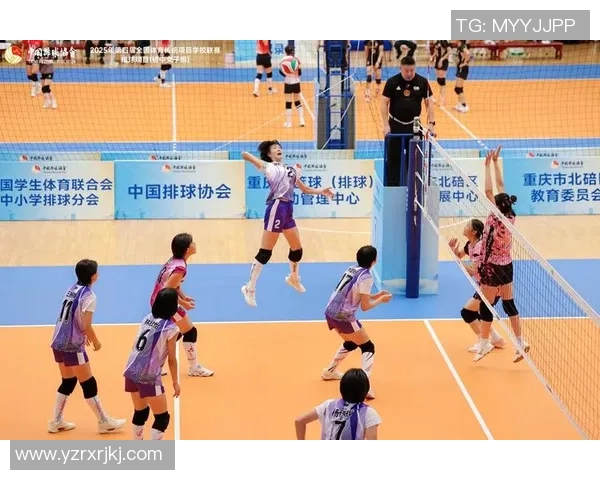 成都排球队在总决赛中的灵活性展现与战术调整分析